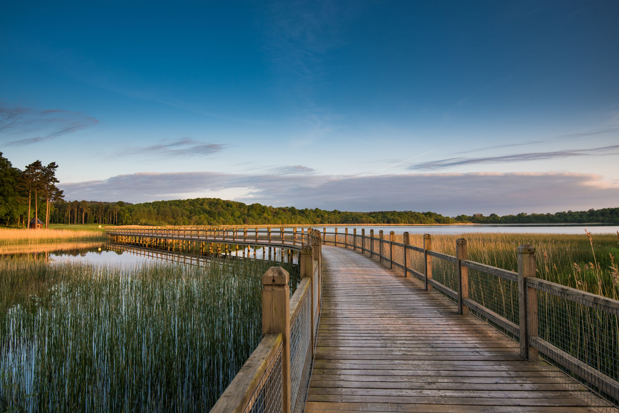Lough Erne Resort Enniskillen Eksteriør bilde The boardwalk at the reserve